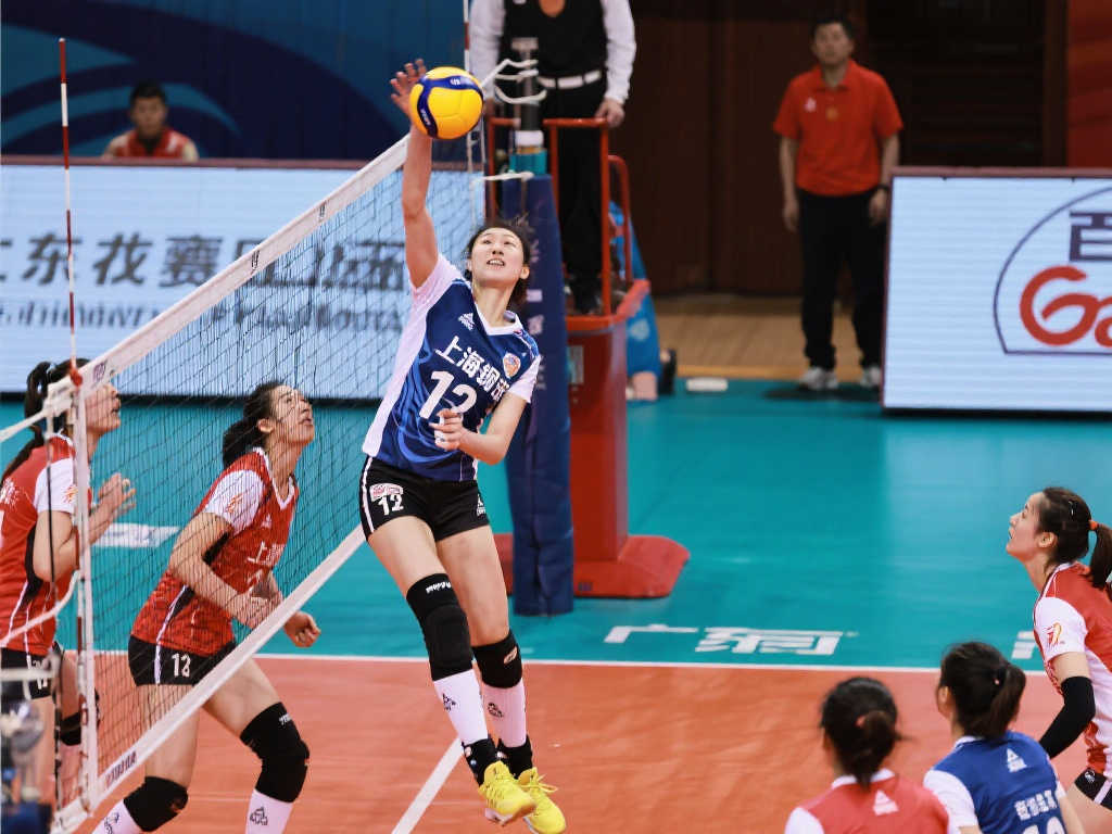 疑将在未来 疑将在未来