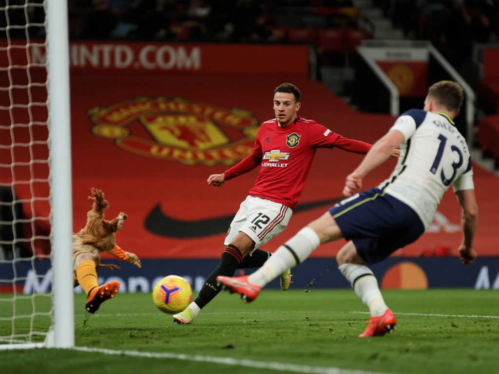 組織不僅需 組織不僅需