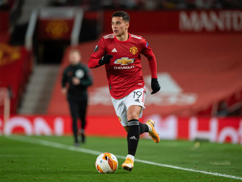 以及不知疲 以及不知疲