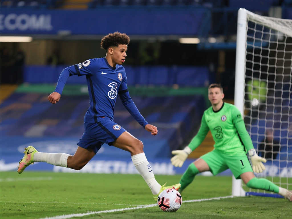 篮球爱好者 篮球爱好者